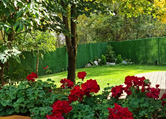 Town House, Free Parking Σόφια