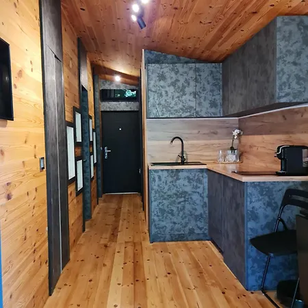 Town House, Free Parking 公寓 索菲亞