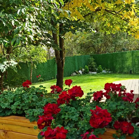 Town House, Free Parking Sofia